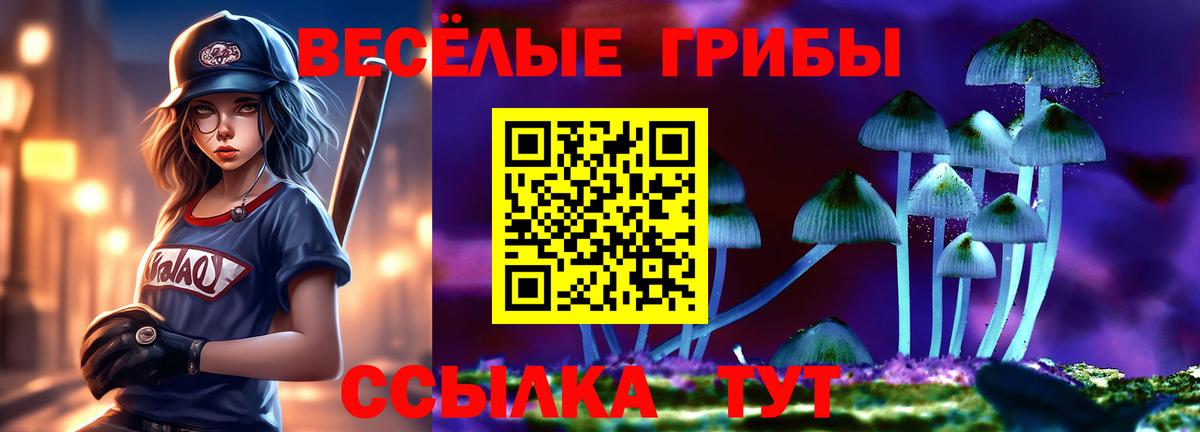 Кировск  Галлюциногенные грибы мухоморы  Вход с VPN 