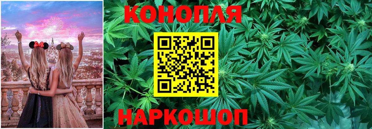 Марихуана сатива Кировск